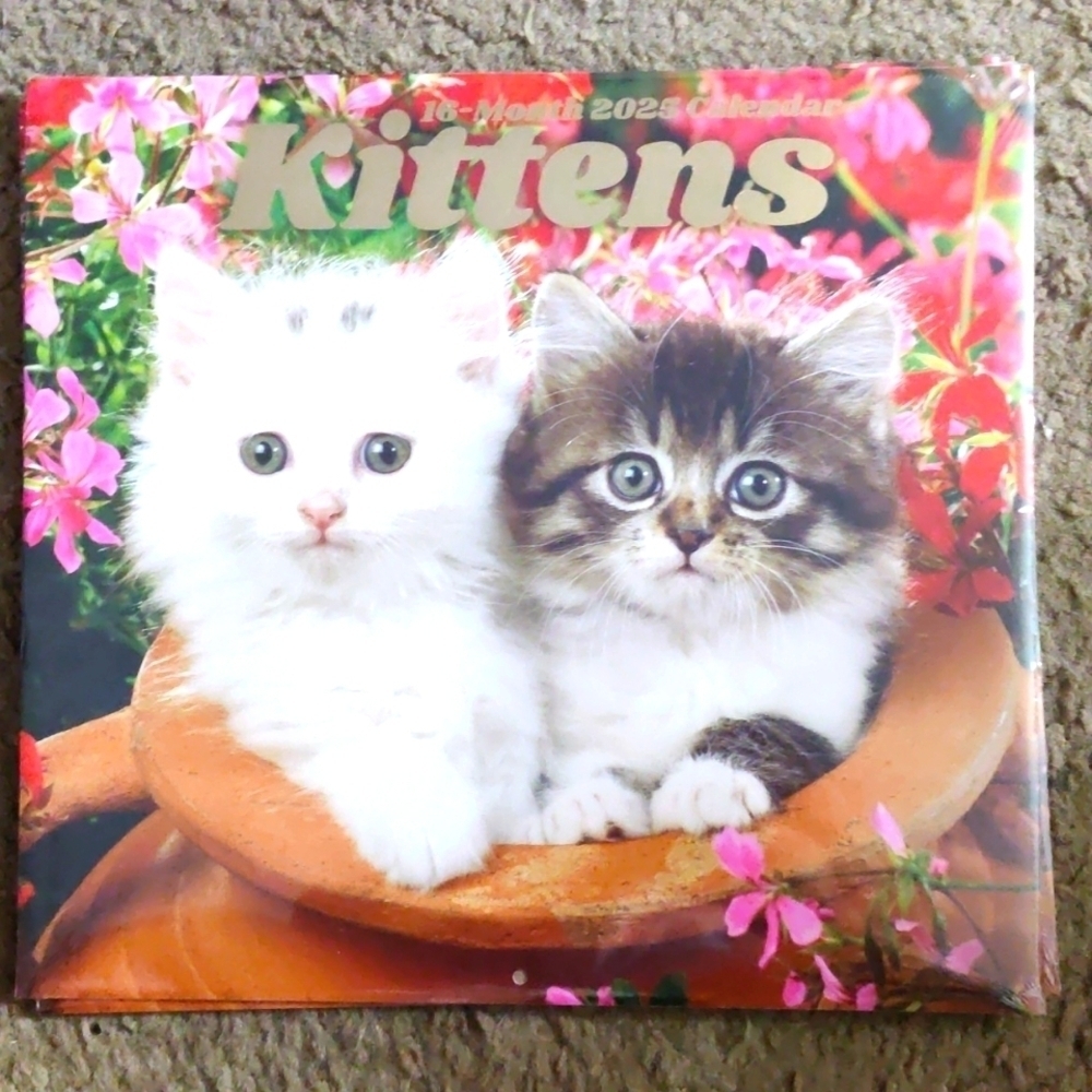 2025 Kittens 16 Month Calendar

Kitten Lovers for Great Wall decorations